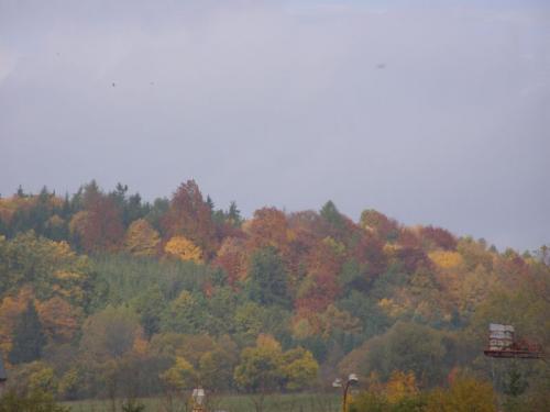 Ovčí vrch na&nbsp;podzim