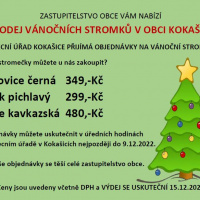 Prodej vánočních stromků v obci Kokašice 